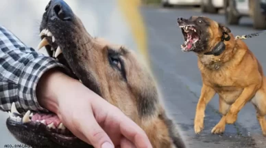 Köyceğiz’de Köpek Saldırısına Uğrayan 11 Yaşındaki Salih’ten Sevindiren Haber