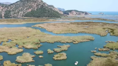 Sazlıklar alarm veriyor: Köyceğiz Dalyanı'ndaki kuruma tehlikesi büyüyor