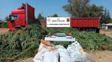 Köyceğiz’de Uyuşturucu Operasyonu: 5 Bin 126 Kök Hint Keneviri Ele Geçirildi, Evli Çift Tutuklandı