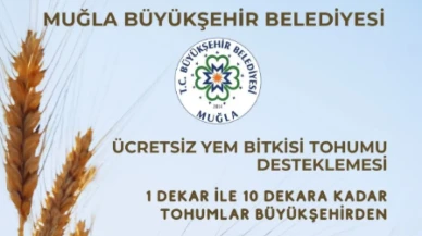 Muğla Büyükşehir Belediyesi’nden Ücretsiz Yem Bitkisi Tohumu Desteği: 1 Dekardan 10 Dekara Kadar Başvuru Alınıyor