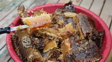 Ayder Balı Nedir? Ayder Balı Kaç TL, Nerede Üretiliyor? Ayder Balı’nın Fiyatı, Rekoltesi, Dubai Siparişleri