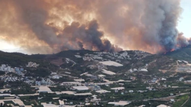 Alanya’da Orman Yangınlarıyla Mücadele Sürüyor: 5 Mahalle Etkilendi, Can Kaybı Yok