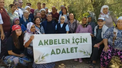 İkizköy’de Zeytin Direnişi Sürüyor: Köylülerden Cumhurbaşkanına Tepki!