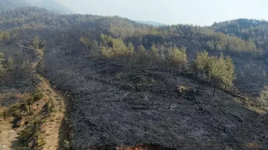 Köyceğiz’deki Orman Yangını 63 Saatte Kontrol Altına Alındı: 3 Bin Hektar Zarar Gördü