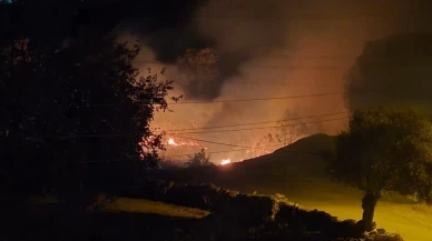 Milas’ta Sazlık Yangını Korkuttu: Çomakdağ Mahallesi’nde Alevler Zamanında Kontrol Altına Alındı