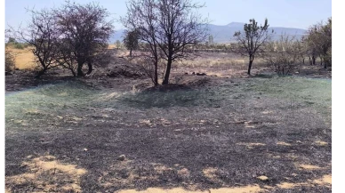 Muğla Yatağan’da Yangın Hacıbayramlar Mahallesi Yangını Büyümeden Söndürüldü!