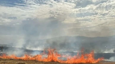 Elazığ Kovancılar’da Anız Yangını: 100 Hektarlık Alan Küle Döndü, Ekipler Seferber Oldu