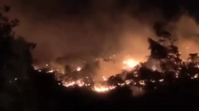 Köyceğiz’de Orman Yangını: 108 Ev Tahliye Edildi, 333 Kişi, 715 küçükbaş ve 260 büyükbaş hayvan kurtarıldı