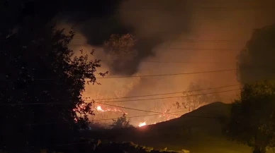 Milas’ta Sazlık Yangını Korkuttu: Çomakdağ Mahallesi’nde Alevler Zamanında Kontrol Altına Alındı