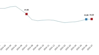 TÜİK Temmuz Verilerini Açıkladı: Tarımsal Girdi Fiyatlarında Yıllık Artış %34,22’ye Ulaştı