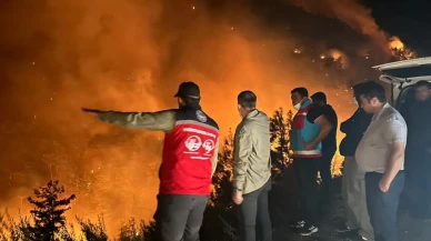 Köyceğiz Kaymakamı Mert Kumcu’dan Yangın Açıklaması: “Mücadelemiz Aralıksız Sürüyor”