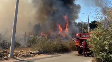 Bir Yangın'da Bodrumda Çıktı: Sazlık Alanda Yangın Korkuttu!