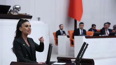 Muğla 2B Arazilerinde Rayiç Bedel İsyanı: Özcan TBMM'ye Taşıdı!