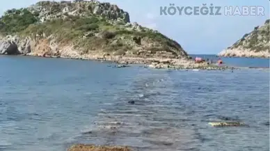 Bodrum'da Deniz Çekildi: 3.500 Yıllık Kral Yolu Ortaya Çıktı