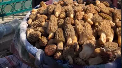 Fethiye Salı Pazarı’nda Kuzu Göbeği Fiyatı Dudak Uçuklattı!