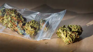 Marmaris’te Kavga İhbarı Uyuşturucu Operasyonuna Dönüştü!