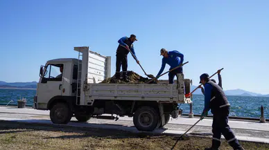 Köyceğiz Kordonu’nda temizlik ve düzenleme çalışmaları