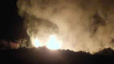 Son Dakika: Köyceğiz Pınar Mahallesi’nde Yangın Paniğe Neden oldu!