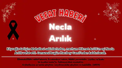 Köyceğiz'de Acı Haber: Necla Arılık Hayatını Kaybetti!