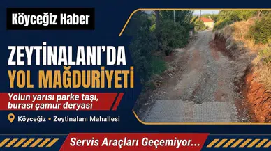 Köyceğiz'de Yapılmayan Yol Mağdur Ediyor