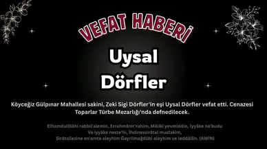 Köyceğiz'de Uysal Dörfler Hayatını Kaybetti