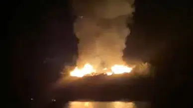 Marmaris Gökağaç Koyu'nda Orman Yangını Çıktı