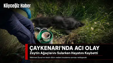 Mehmet Duva Zeytin Ağaçlarını Sularken Can Verdi