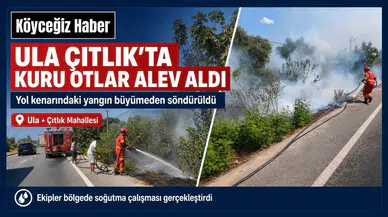 Ula Çıtlık’ta Yol Kenarında Yangın Çıktı