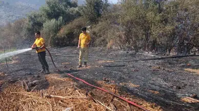 Milas Bafa'daki Tarım Arazisi Yangını Söndürüldü