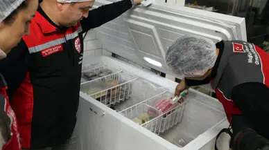 Gıda Denetimi: 42 İşletmeye 1,5 Milyon Ceza