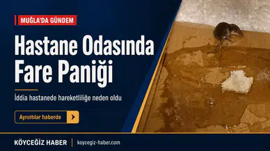 Hastane Odasında Fare Paniği: Muğla'da Kanser Hastasının İsyanı!