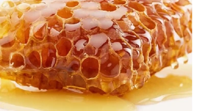 Köyceğiz Balı Doğal mı? Çam Balı ve Satış Noktaları