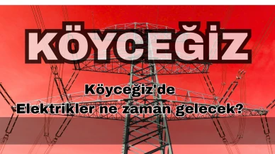 Köyceğiz'de elektrikler ne zaman gelecek? Karaçam'da 3 saatlik kesinti!