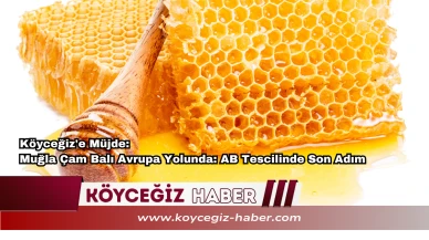 Köyceğiz'e Müjde: Muğla Çam Balı Avrupa Yolunda: AB Tescilinde Son Adım