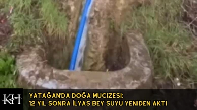 Yatağan'da Doğa Mucizesi: 12 Yıl Sonra İlyas Bey Suyu Yeniden Aktı
