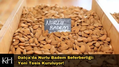 Datça'da Nurlu Badem Seferberliği: Yeni Tesis Kuruluyor!