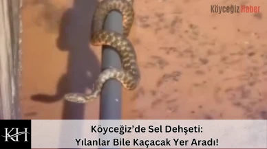Köyceğiz’de Sel Dehşeti: Yılanlar Bile Kaçacak Yer Aradı!