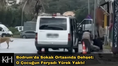 Bodrum'da Sokak Ortasında Şiddet: Kadını Zorla Arabaya Bindirdi