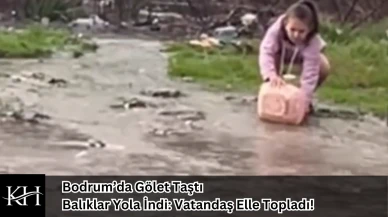Bodrum’da Gölet Taştı, Balıklar Yola İndi: Vatandaş Elle Topladı!