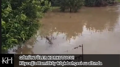 GÖRÜNTÜLER KORKUTUCU! Köyceğiz Hamitköy Sallanan köşk bahçesi su altında