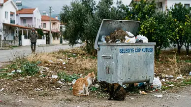 Köyceğiz’de Kimse Aç Kalmasın Çöp Tenekelerindeki Sessiz Çığlık