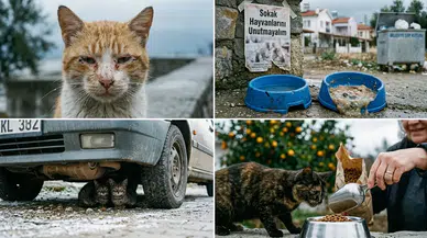Köyceğiz’in Sessiz Misafirleri: Çöp Tenekesindeki Vicdan Sınavımız