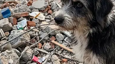 YENİ MAHALLE’DE HERKESİN ÖNÜNDEN GEÇTİĞİ O EV YIKILDI: PEKİ YA GERİDE BIRAKILAN?