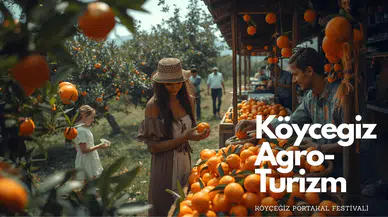 Köyceğiz Üretiyor Ama Neden Kazanamıyor?