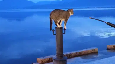 Zamanın yavaşladığı yer