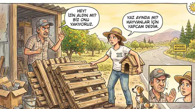 Köyceğiz de Meşhur Palet Tahtaları