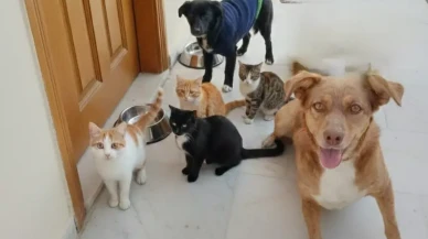 Sabah 07:00: Kim Uyandırdı Bu Ekibi?