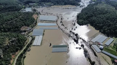 Muğlada Seralar Yıkıldı, Umutlar Çamura Gömüldü