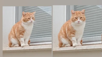 GÜNAYDIN "GİZEMLİ JÖNÜ" GERİ DÖNDÜ: TOMBİ’NİN SESSİZ DÖNÜŞÜ