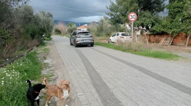 KÖYCEĞİZ PROSEDÜR CAN ALIYOR